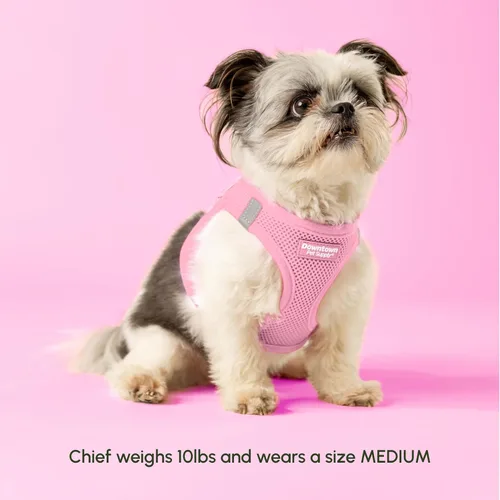 Vista 118 de Downtown Pet Supply Arnés para perro Step-in – Sin tirones, malla acolchada ajustable con ribete reflectante, correa de hebilla segura – Arnés