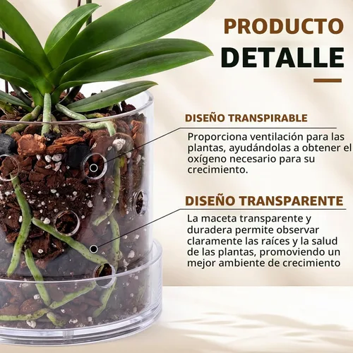 Vista 3 de Maceta de orquídea acrílica transparente de 5/6 pulgadas con agujeros
