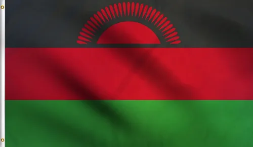 Vista 35 de DMSE - Bandera nacional beninesa beninesa de la República de África Occidental, 2 x 3 pies, 100 % poliéster, 100 % poliéster, resistente a los rayos