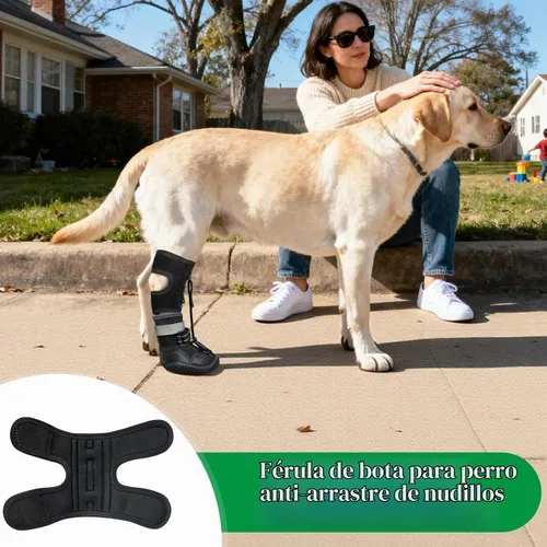 Vista 5 de Idepet - Correa de pie para perro (sin soporte para botas de nudillo), soporte para patas de botas de perro para soporte de piernas, zapatos