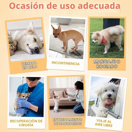Vista 6 de Pet Soft, pañales desechables para mascotas, perros, cachorros, 12 unidades, 72 pañales, XXS- XL