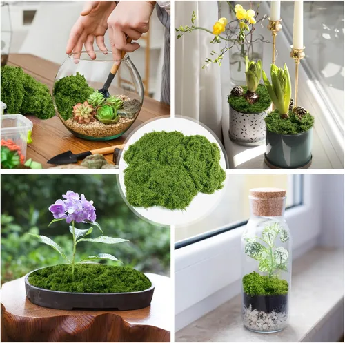 Vista 5 de Fake Green Moss for Plants Indoor, 5.3OZ Artificial Moss (Dark Green)