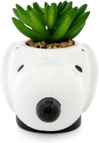 Vista 3 de Peanuts Snoopy Face - Mini maceta de cerámica con suculentas artificiales, maceta pequeña, plantas de interior de imitación para estante