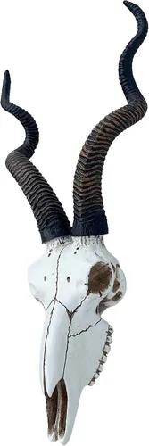 Vista 5 de Top Brass Calavera de antílope Kudu africano de 14 1/2 pulgadas, cabeza de montaje en pared, decoración rústica de safari