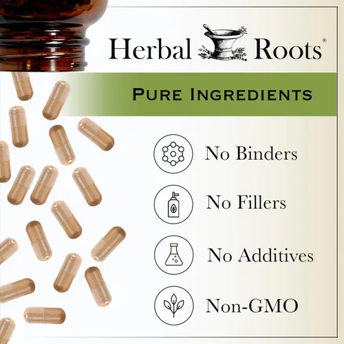 Vista 7 de Herbal Roots Píldoras orgánicas de ajo de bulbo entero - Potente fuerza extra 600 mg - 60 cápsulas veganas orgánicas