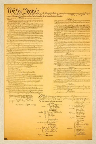 Vista 7 de Trends International Póster de pared de The Constitution, 14.725 x 22.375 pulgadas, versión enmarcada de madera de granero Versión enmarcada Barnwood