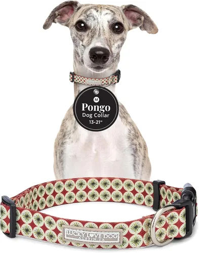 Vista 33 de Lucky Love Dog - Collar de perro ajustable con hebilla de fácil clic para los pequeños, duradero y cómodo para perros machos y hembras, collar