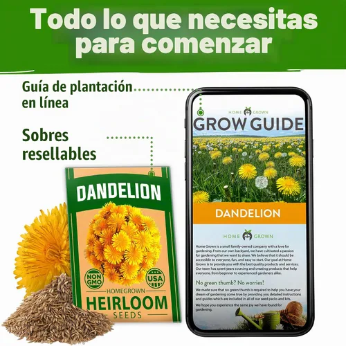 Vista 7 de HOME GROWN Semillas de diente de león, 600 semillas, 0.01 oz, Taraxacum