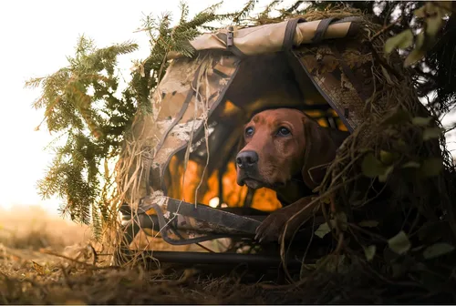 Vista 6 de Momarsh Field House LP - Persiana para perros y caza de aves acuáticas
