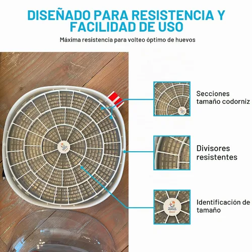 Vista 4 de Bandeja de huevos duradera para incubadora de huevos Nurture Right 360, 48 huevos de codorniz/pájaro