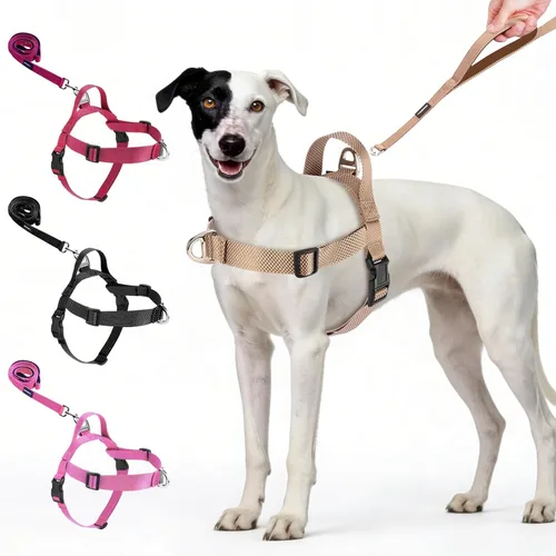Vista 10 de Annchwool Arnés para perro sin tirones con clip frontal y asa de fácil control, arnés ajustable para el vientre y el pecho y correa para perros