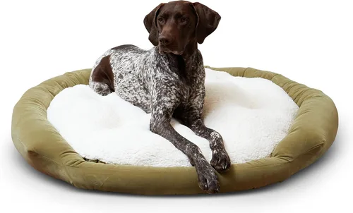 Vista 15 de Maddie Donut - Cama para perro con almohada central extraíble, color crema, pequeña (24 x 24 pulgadas)