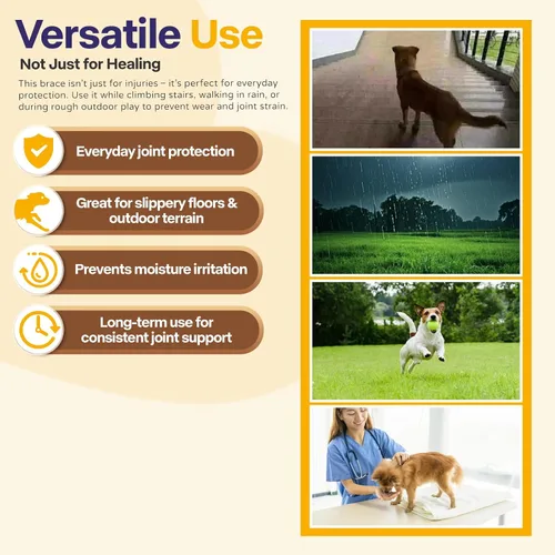Vista 6 de Codera de perro para codo y hombro de mascotas para artritis de codo, displasia, callos de codo, codo para pierna delantera, protector de codo