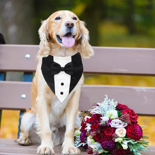 Vista 5 de GOYOSWA Traje de esmoquin para perro, collar bandana de boda con pajarita, ajustable, formal, esmoquin para perros, compromiso, cumpleaños, esmoquin