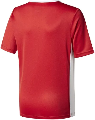 Vista 2 de adidas Boys Entrada 18 Jersey