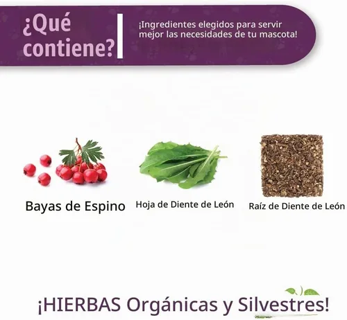 Vista 3 de Amber NaturalZ - Espino y diente de león - Cuidado del corazón - para Petz - 1 onza Maintains optimal cardiovascular wellness in pets. Supports