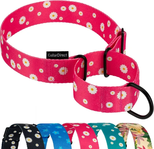 Vista 20 de CollarDirect Martingale - Collar de nailon resistente para perros pequeños, medianos y grandes [nailon, estampado, aguamarina, L, 15-20 pulgadas)