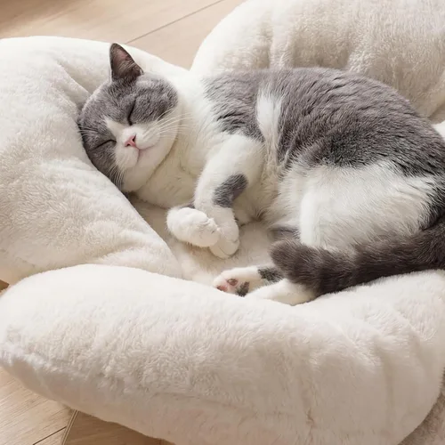 Vista 9 de Veehoo Moderna cama elevada para gatos con cojín lavable y esponjoso para gatos de interior y perros pequeños, sofá elevado de madera para mascotas