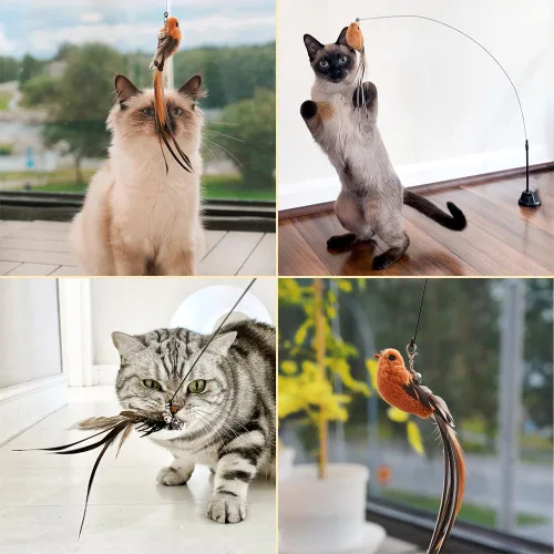 Vista 3 de Leo's Paw - Juego de juguetes interactivos originales para gatos