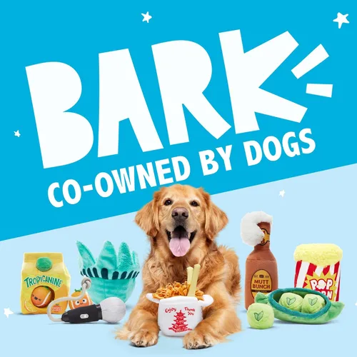 Vista 6 de Barkbox Air Head Juguete para Perros – Juguete de Peluche Rip & Reveal con Pelota Chirriante Espinosa Oculta, Crujido Loco y Relleno Suave – Juego