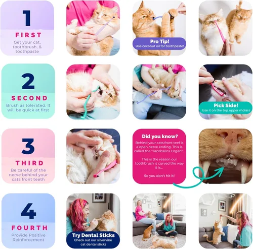 Vista 6 de RYERCAT - Cepillo de dientes para gatos de doble cara, cepillo de dientes para gatito con microcabezal para un ajuste personalizado, suministros
