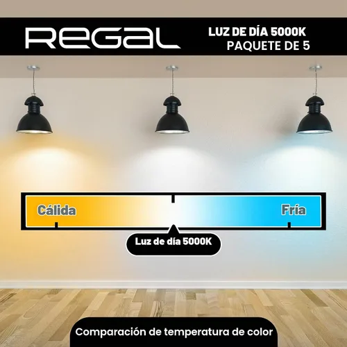 Vista 3 de REGAL - Bombilla LED A19 (800 lúmenes, 9 W, equivalente a 60 W, base E26, intensidad no regulable)