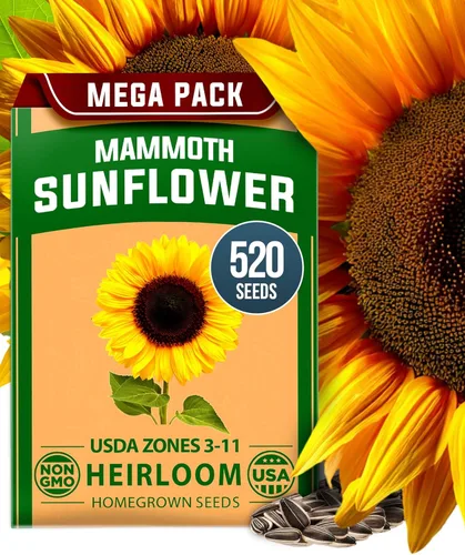Vista 16 de HOME GROWN Semillas de zinnia rosa – 300 zinnias Luminosa 0.5g, semillas anuales de flores fáciles de cultivar para plantar al aire libre para 2026