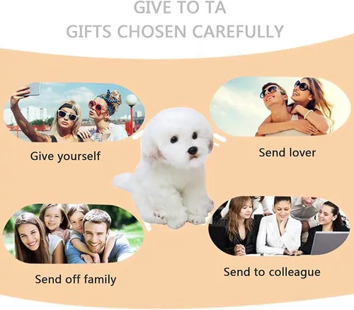 Vista 6 de Perro maltés de peluche realista de 14 pulgadas, juguetes de peluche para cachorros, almohada de felpa suave para cumpleaños para niños y adultos