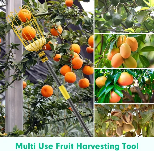 Vista 7 de Lilyvane Recolector de frutas, herramienta para recoger frutas de 66 pulgadas de largo con cesta de frutas, extensión de empalme ajustable