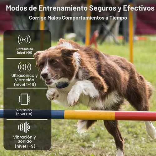 Vista 3 de Collar de entrenamiento para perros sin golpes con control remoto de 3300 pies, collar de perro vibratorio humano, 3 modos ultrasónico, pitido