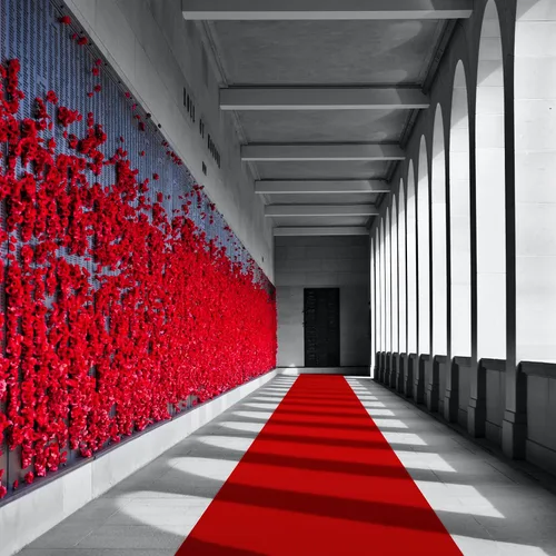 Vista 5 de EZLucky Corredor de Alfombra Roja para Fiestas, 2.6 x 15 pies, Tela No Tejida de Fieltro de 130 GSM, Alfombra Roja de Hollywood para Eventos
