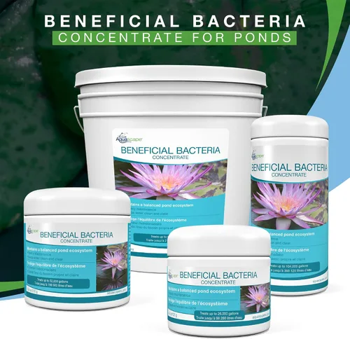 Vista 7 de Aquascape - Bacterias secas y beneficiosas para las características del estanque y del agua., Blanco