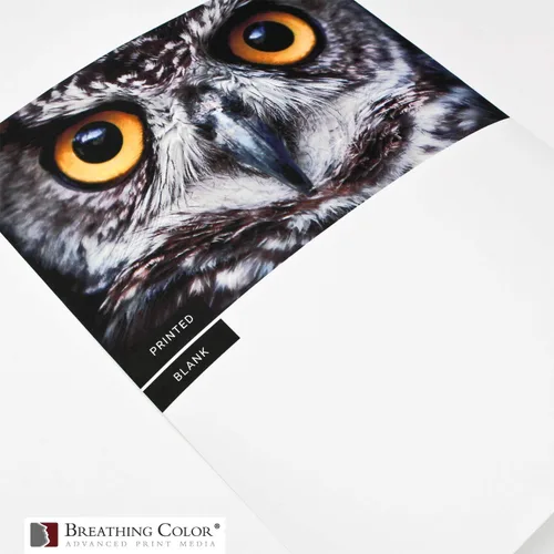 Vista 2 de Vibrance - Papel mate para impresora fotográfica de 12 mil 8.11 oz/m², hojas de papel fotográfico mate de alta calidad de 13 x 19 pulgadas, 50