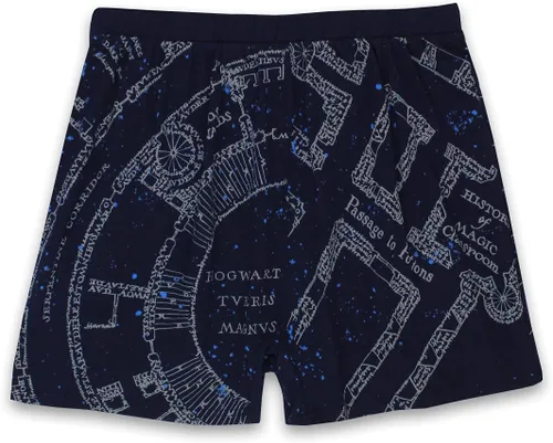 Vista 2 de Harry Potter Hogwarts Houses - Calzoncillos tipo bóxer para hombre