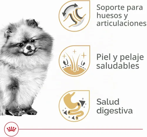 Vista 2 de Royal Canin BHN Pomeranian - Alimento seco para perros adultos, bolsa de 2.5 libras