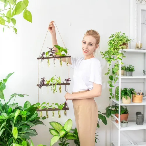 Vista 9 de Estación de propagación, terrario de plantas, regalos para amantes de las plantas para mujeres, soporte para cortar plantas, decoración del hogar