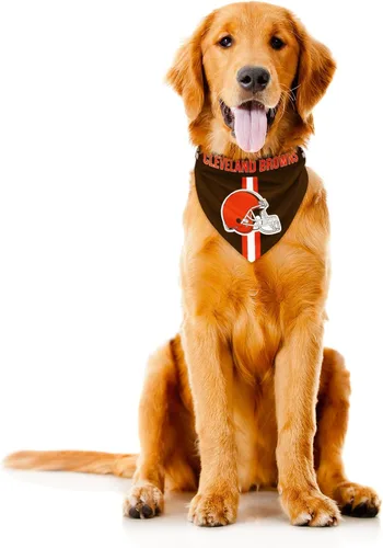 Vista 9 de Bandana de la NFL Team Dog, Rojo, S Arizona Cardinals