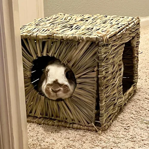 Vista 5 de LWINGFLYER Casa de hierba de conejo, casa de hierba para dormir, juguetes masticables para animales pequeños, conejo, hámster, chinchillas, guinea