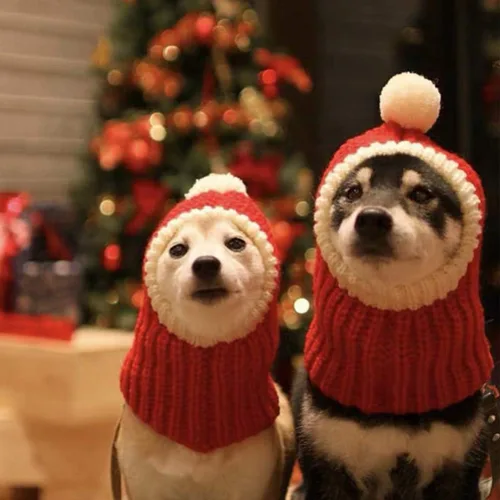 Vista 2 de POPETPOP Sombrero de Navidad para perro, cálido gorro de invierno para cachorros, grueso, pequeño, de punto, para gato, Navidad, diadema, ropa