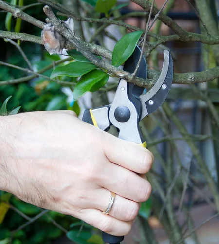 Vista 5 de Tijeras de podar de derivación de 8 pulgadas para jardinería, tijeras de jardín ultra afiladas resistentes con agarre ergonómico antideslizante