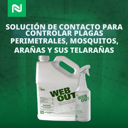 Vista 7 de Out Web eliminador de telarañas