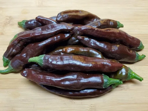 Vista 2 de Semillas de pimiento marrón etíope más de 10 semillas