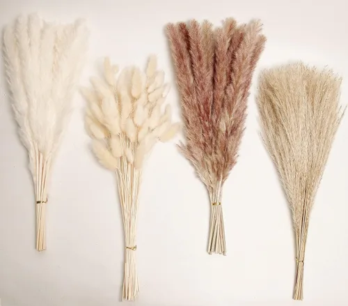 Vista 20 de 10 tallos de hierba de las pampas de 40 pulgadas de alto en color beige natural, añade un toque bohemio a tu espacio: hierba de las pampas ideal