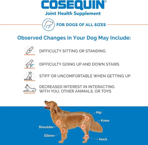 Vista 3 de Tabletas masticables para perros de Nutramax Cosequin DS