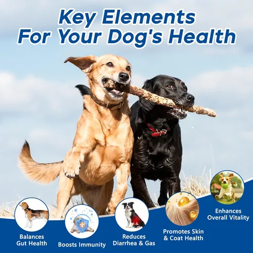 Vista 5 de Probióticos para Perros, Masticables Probióticos para Perros para Levadura, Salud Intestinal, Digestiva e Inmunológica, Alivio de Picazón en Orejas