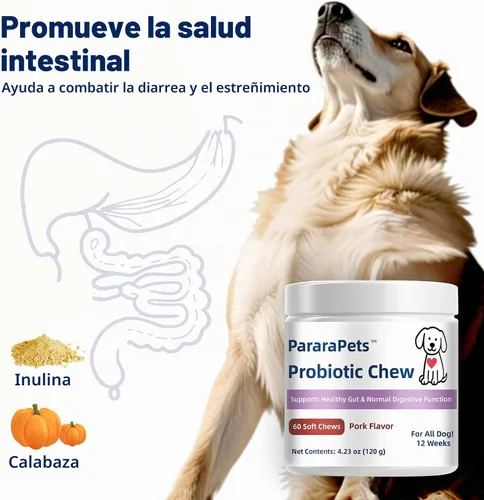 Vista 3 de Probióticos para perros, probióticos para la salud intestinal del perro, la salud gastrointestinal promueve la digestión y la absorción