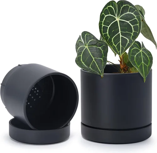 Vista 13 de Phoenix Vine 4 Inch Planter Pot with Drainage Hole & Saucer, Deep Water Catch Tray, Straight Cylindrical Round Pot for Plants, Olive, Pack of 1