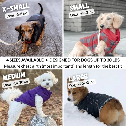 Vista 4 de DJANGO Abrigo de invierno reversible para perros con acolchado – Chaqueta de invierno cálida para perros y abrigo aislante repelente al agua