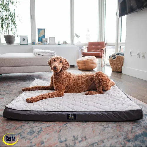 Vista 5 de Serta Cama ortopédica acolchada para perros con parte superior para mascotas - Gris pizarra (XL)