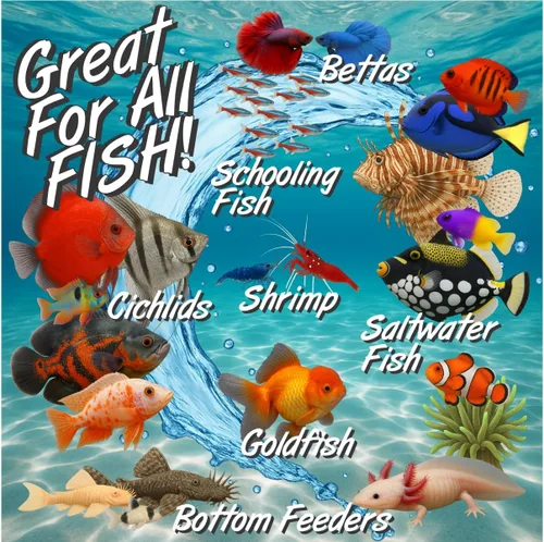 Vista 6 de Super Cichlid Alimento de pescado liofilizado para gusanos negros (0.53 oz)